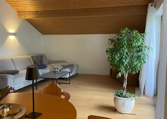Grosszuegige Alpenwohnung Im Dachgeschoss