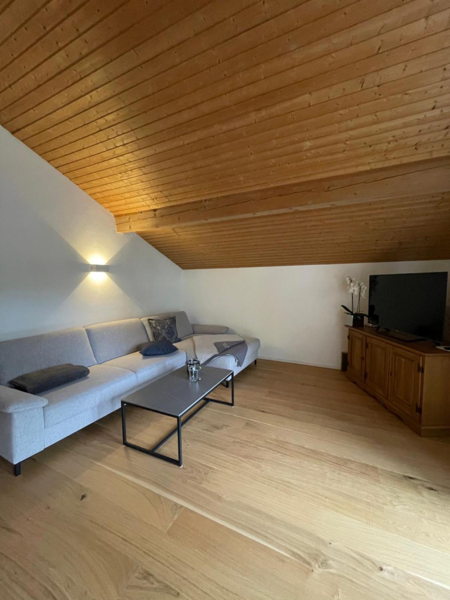 Apartment Grosszuegige Alpenwohnung Im Dachgeschoss