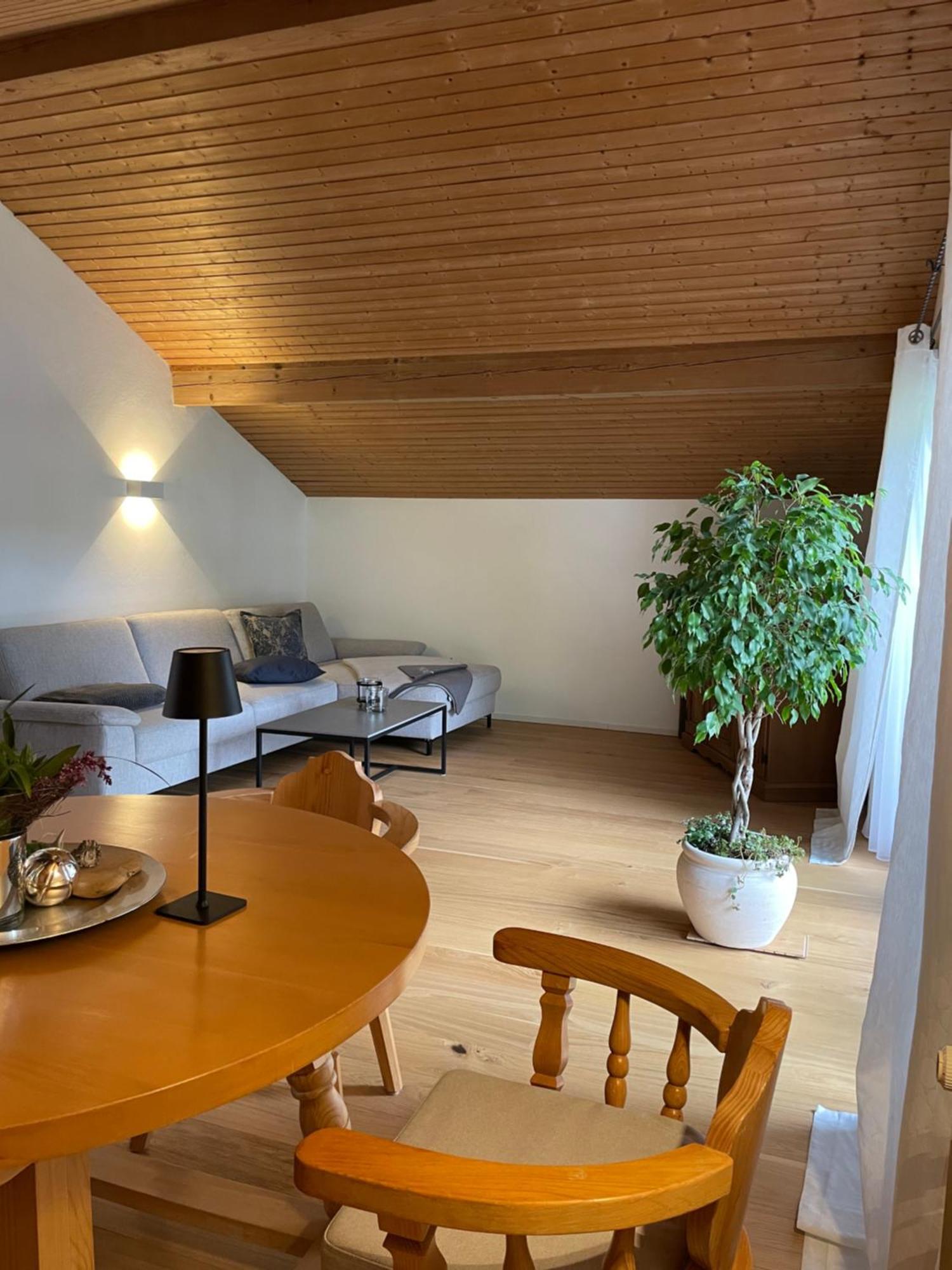 Grosszuegige Alpenwohnung Im Dachgeschoss Apartment